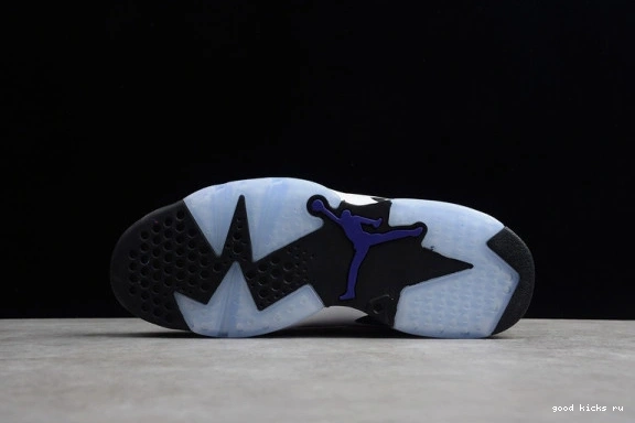 6 CI3125-100 CI3125-100 Flight Retro Jordan  Nostalgia 0413